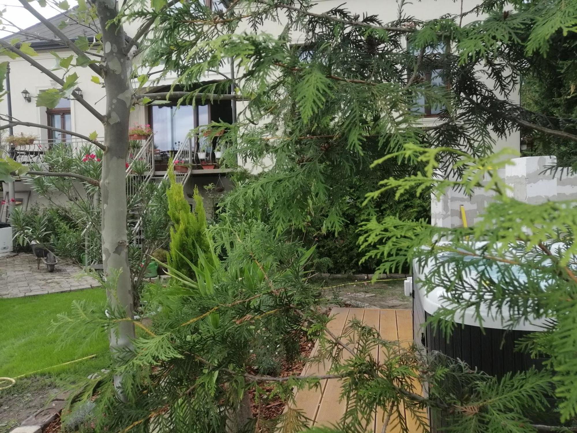 Kuria Apartman With Private Jacuzzi And Pool 布达佩斯 外观 照片